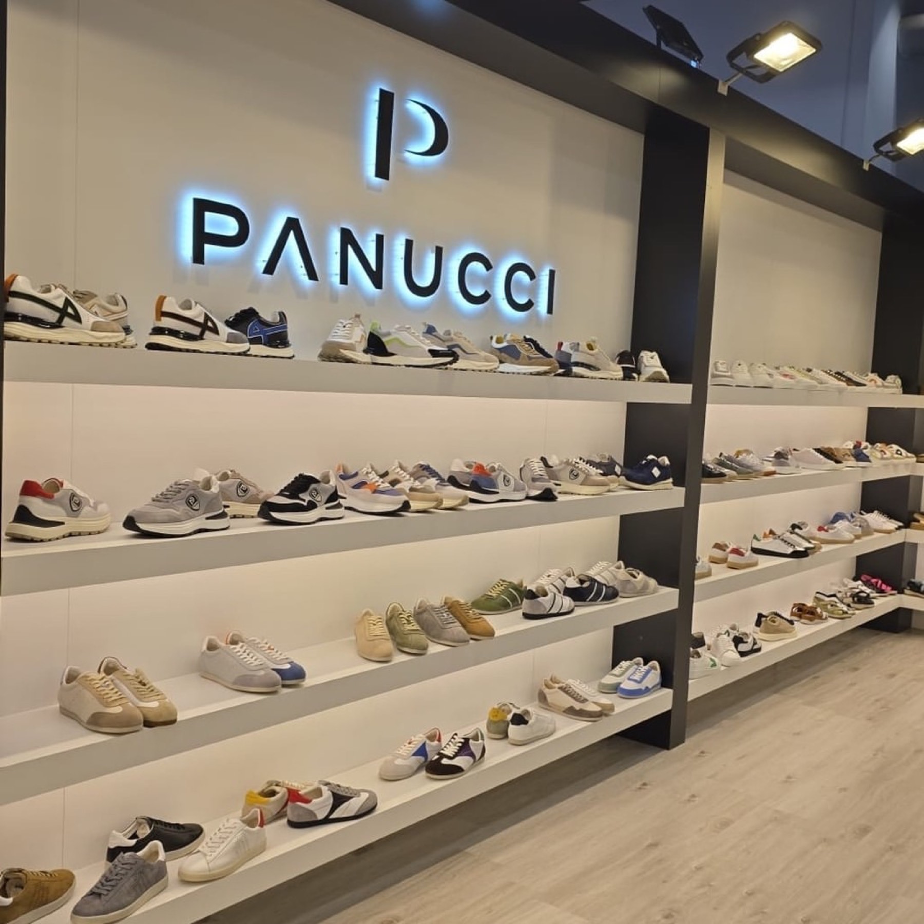 Panucci — 3