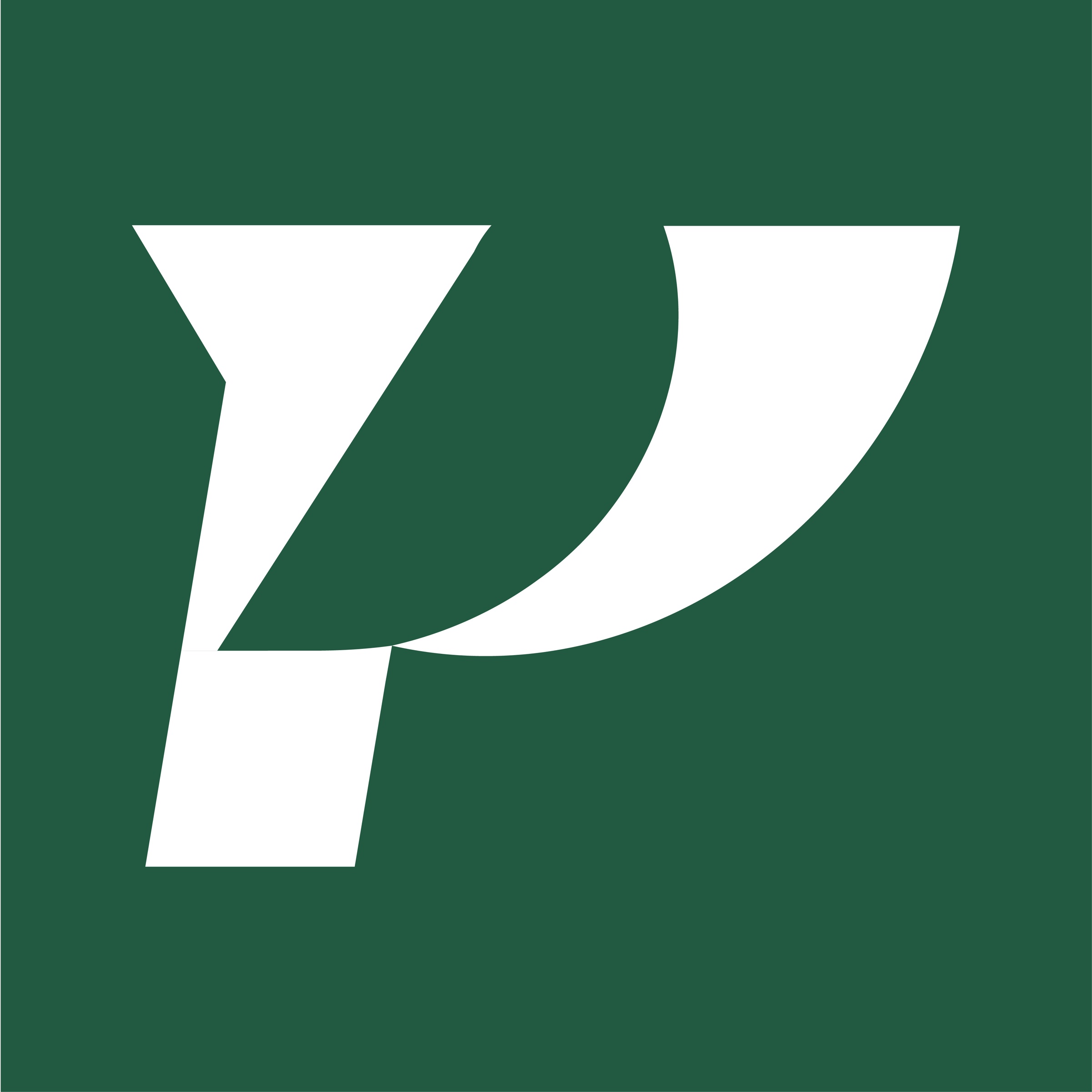 Parmin — 5