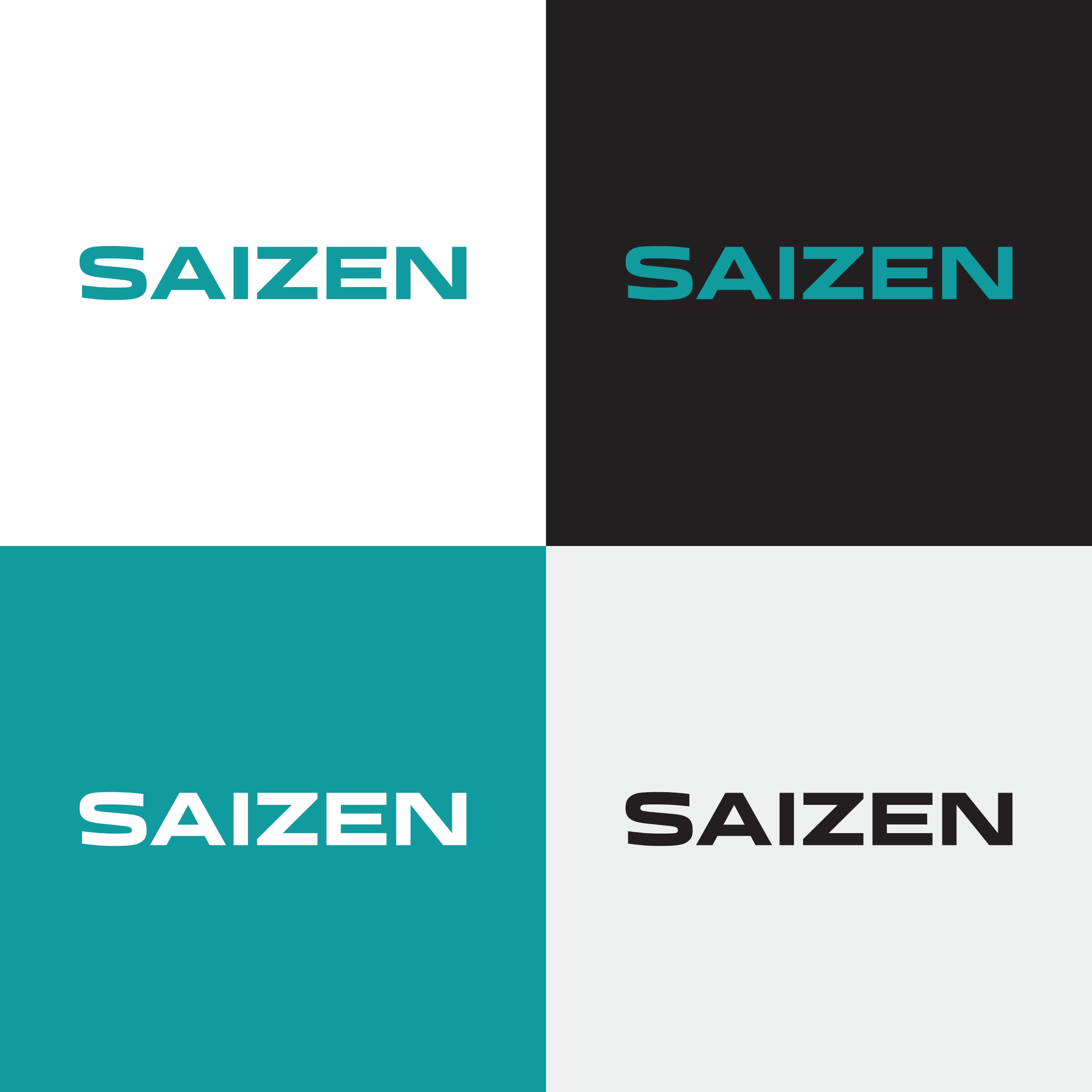 Saizen — 4