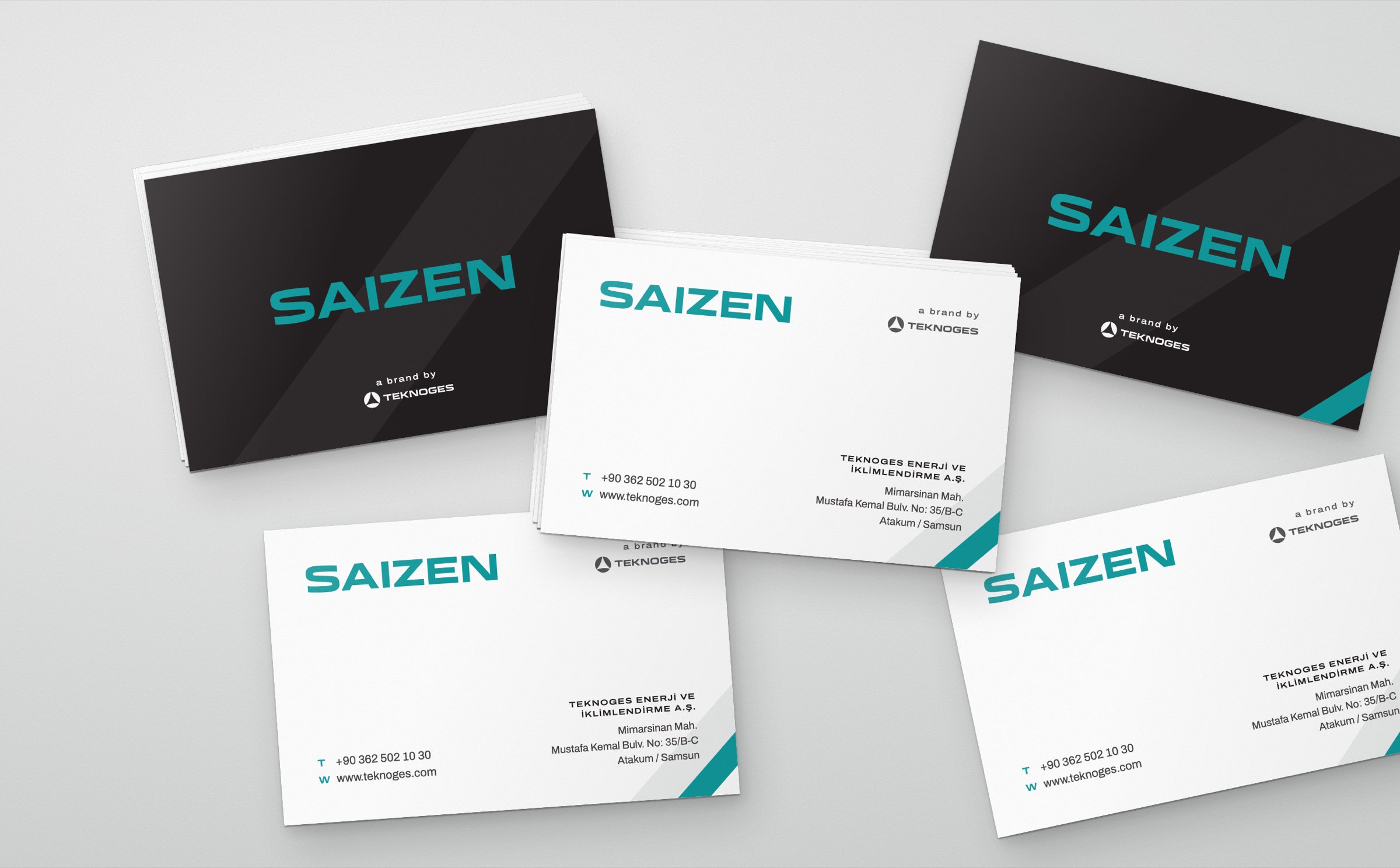 Saizen — 5