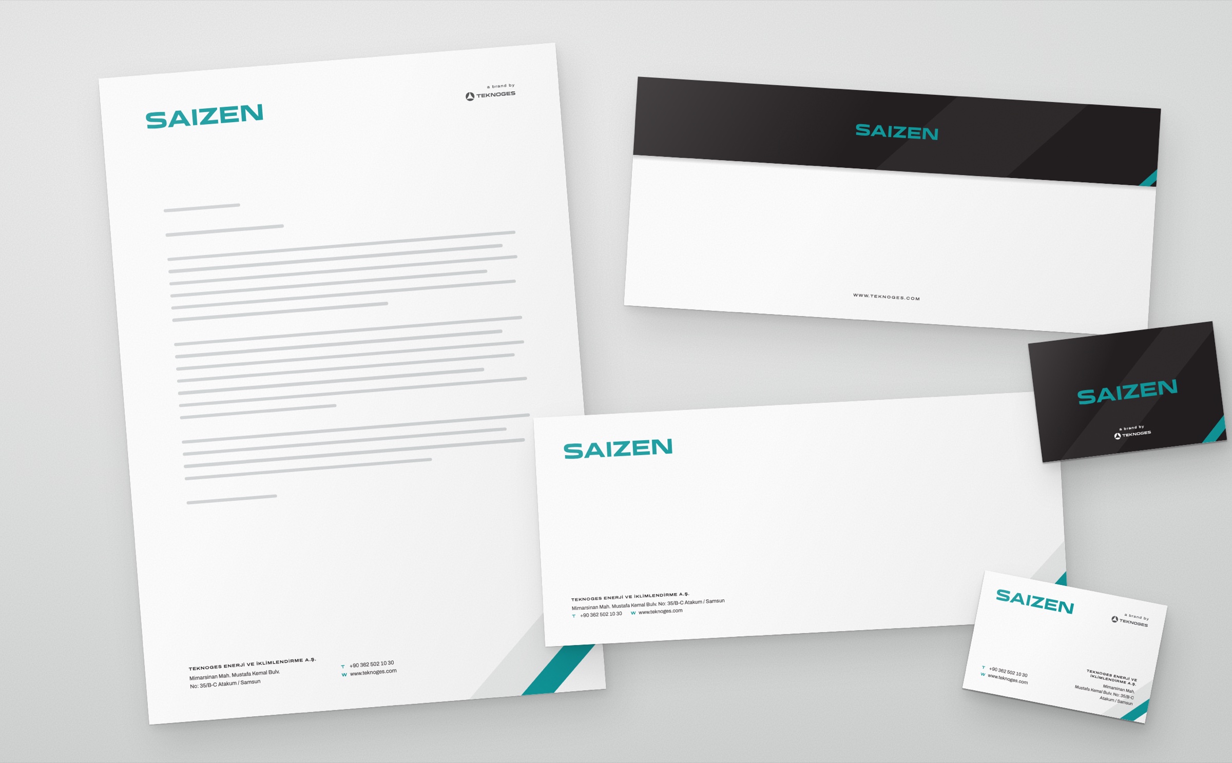 Saizen — 6