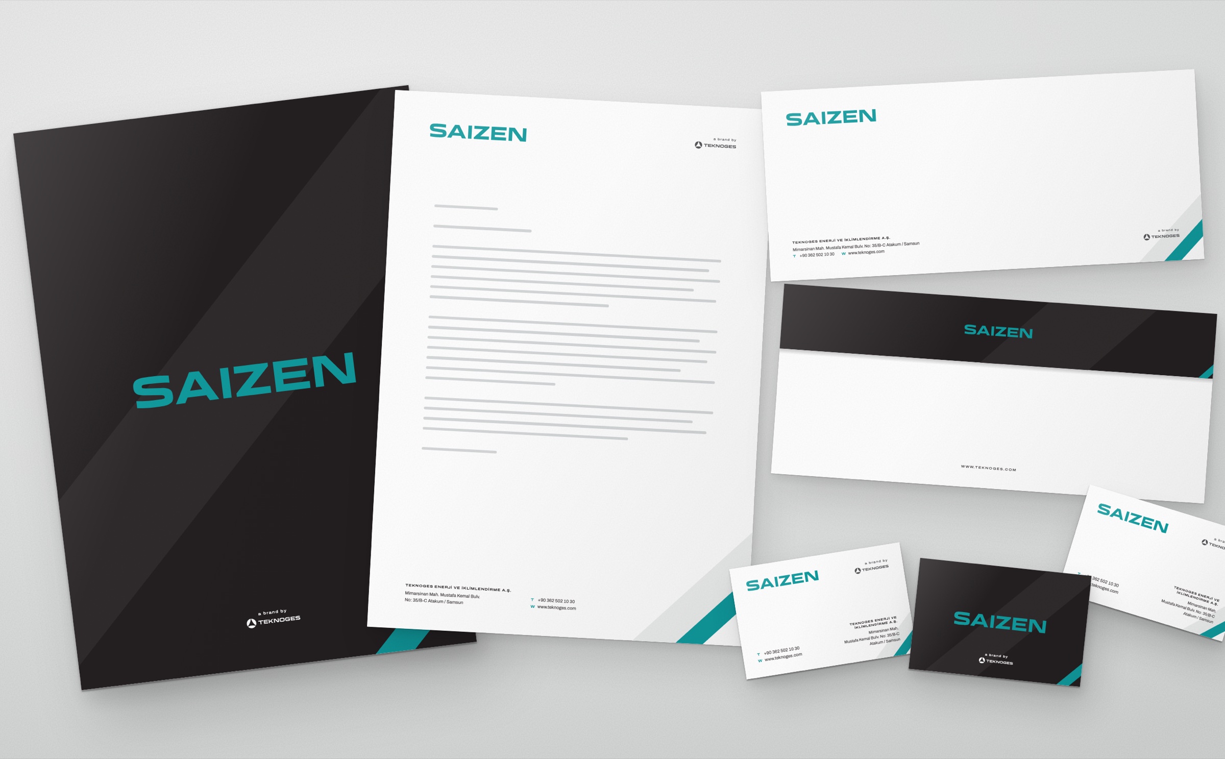 Saizen — 8