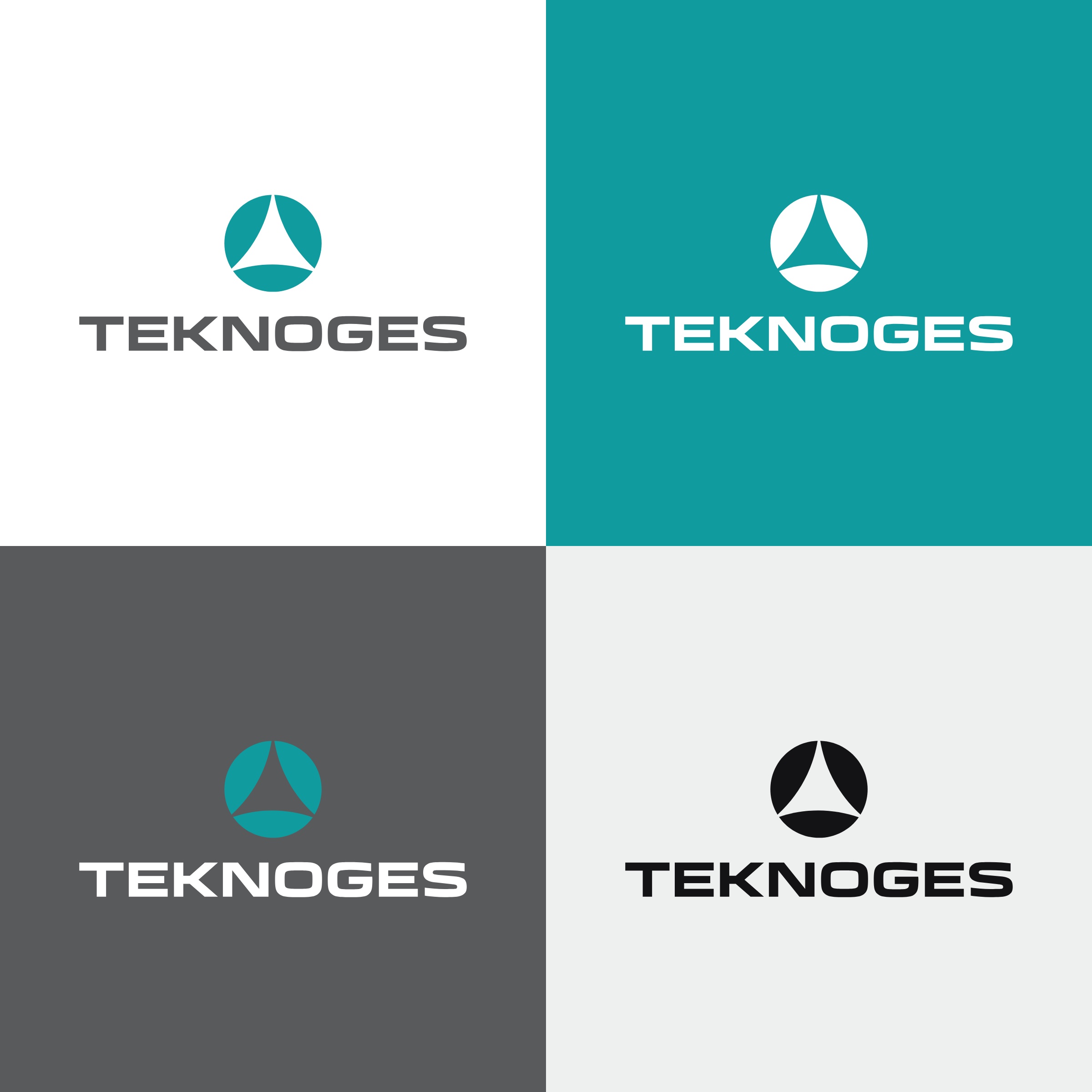 Teknoges — 4